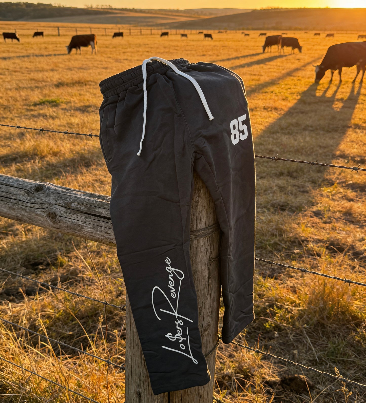 LOSERS REVENGE Institutionalized SWEATS